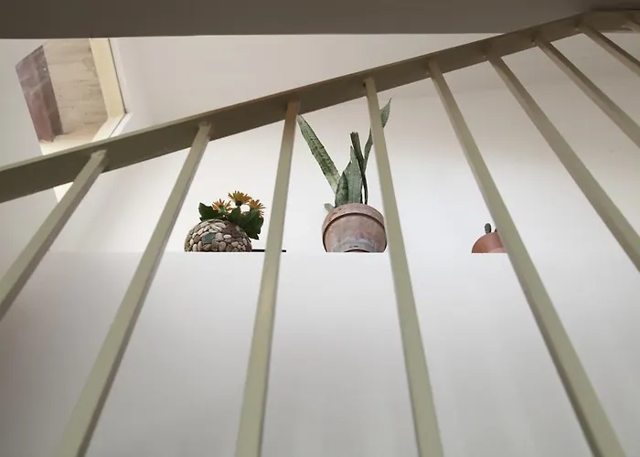 Casa Mediterraneo *
